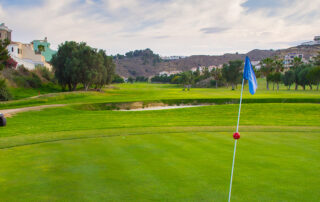 Brand new townhouses in Vistabella golf - photo 8
