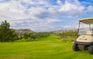 Brand new townhouses in Vistabella golf - photo 9