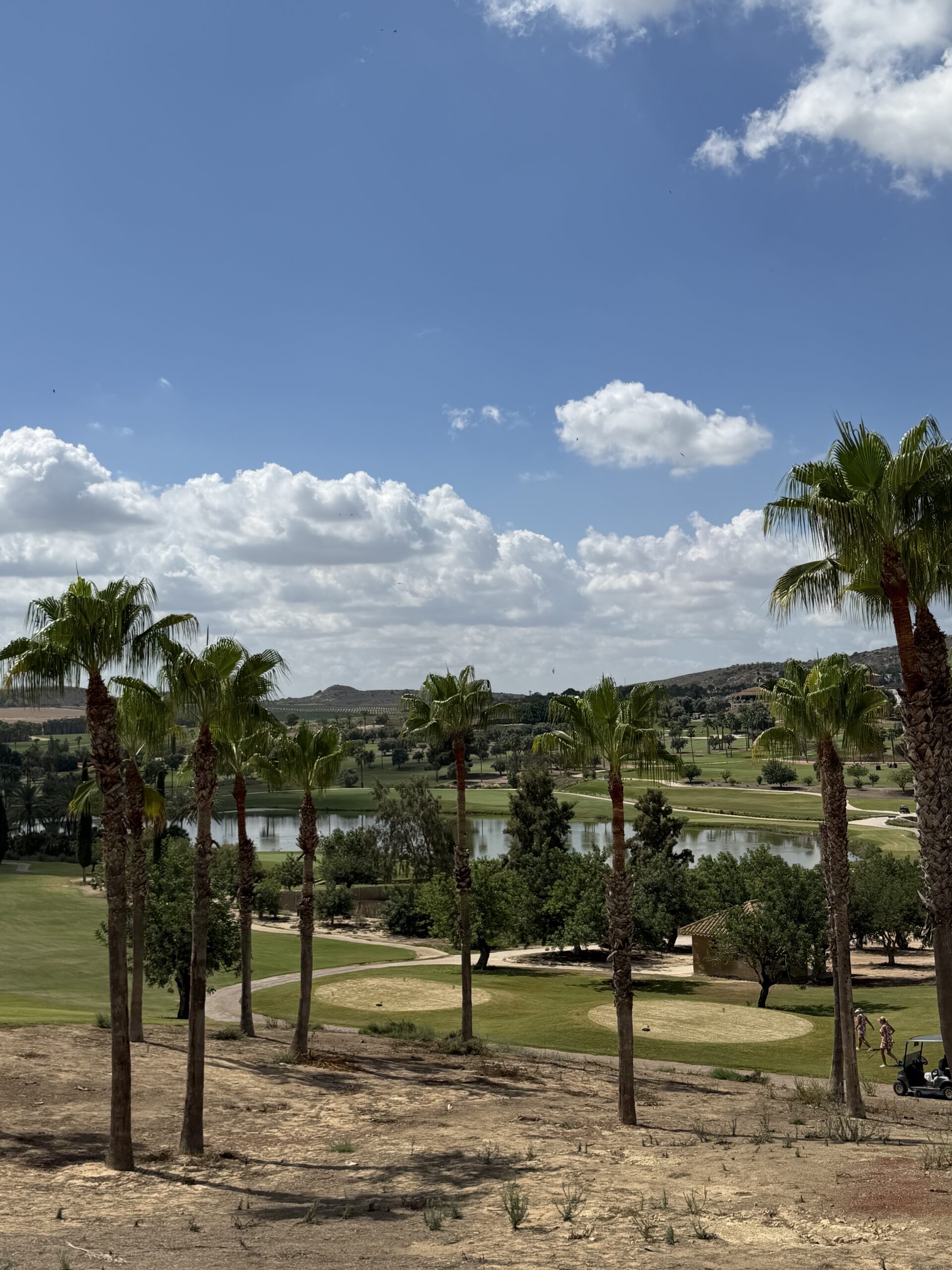 golf course Brand new bungalows in La Finca Golf - photo 6